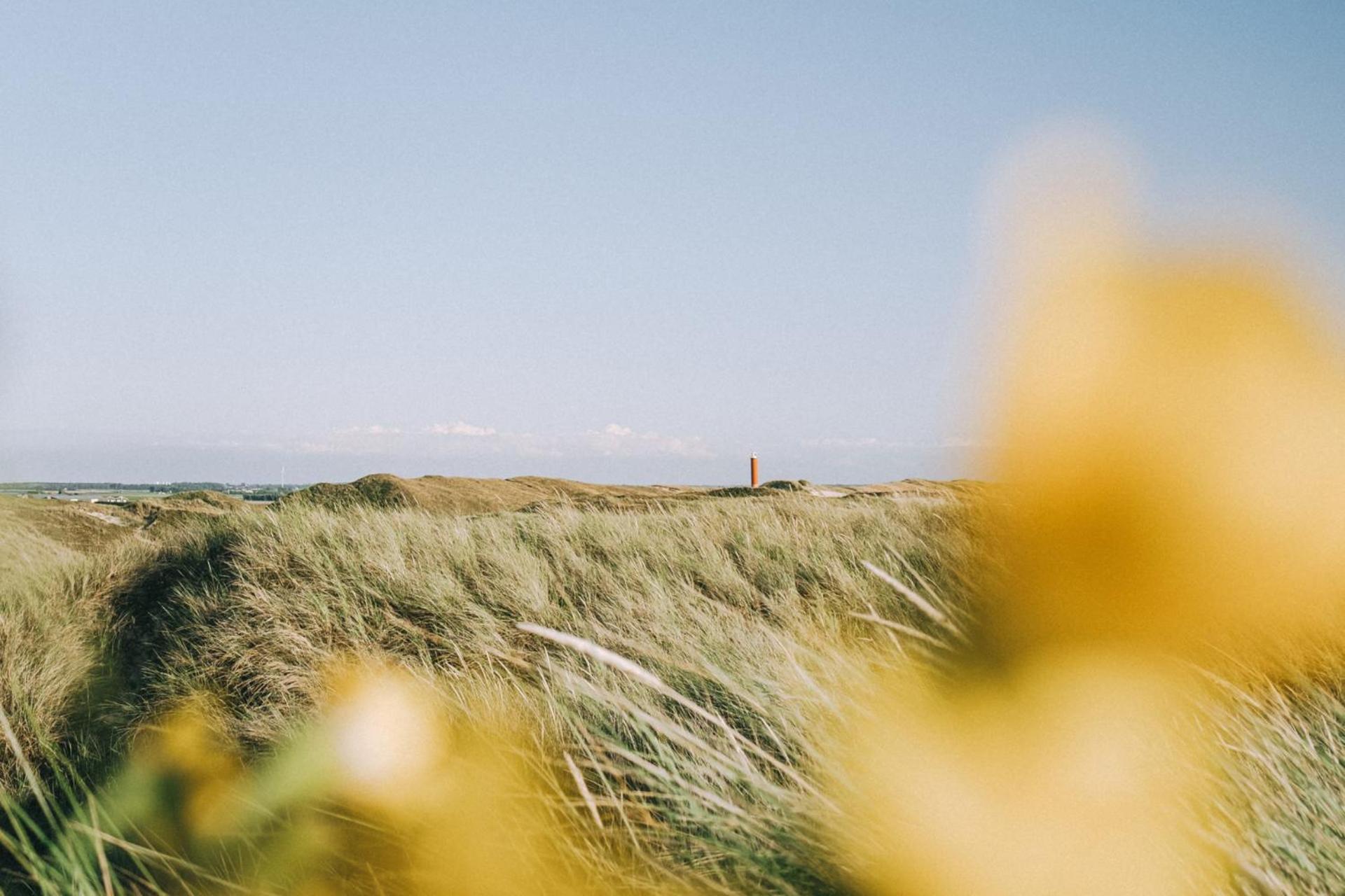 Beach Appartement 17 - Aan De Duinen, Callantsoog Aan Zee Bagian luar foto